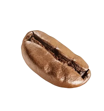 פולי קפה